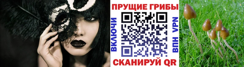 Галлюциногенные грибы прущие грибы  Энем 